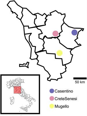 Bacterial Communities in the Fruiting Bodies and Background Soils of the White Truffle Tuber magnatum